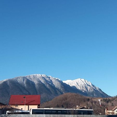 Piatra Craiului Residence เซอร์เนช ภายนอก รูปภาพ